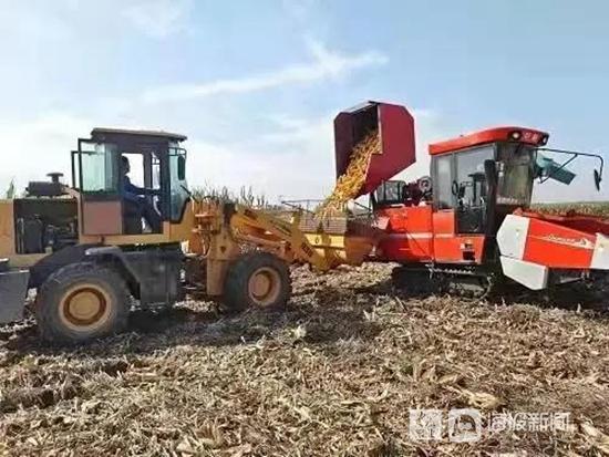 农科服务农技推广，淄博两家单位入选“全国星级”