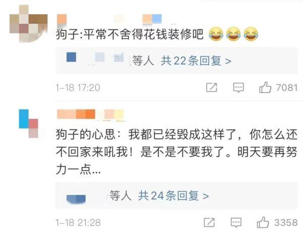 隔离14天，家里几乎被狗子拆没了！主人好气又无奈：已经在看新家具了