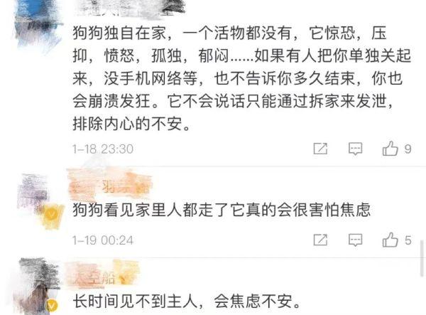 隔离14天，家里几乎被狗子拆没了！主人好气又无奈：已经在看新家具了