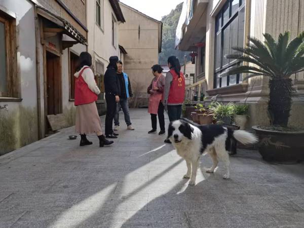 杭州市建德市钦堂乡：文明规范养犬 助力环境整治