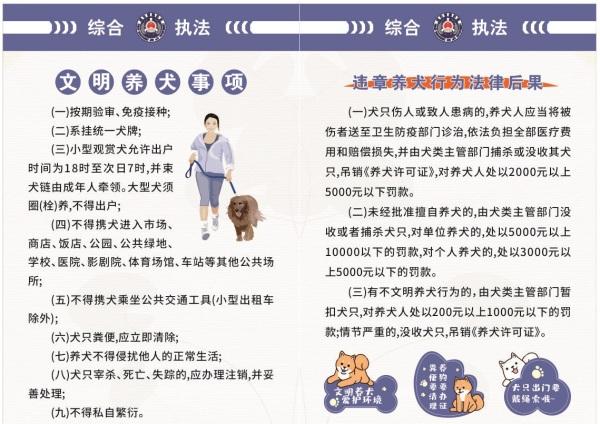 杭州市建德市钦堂乡：文明规范养犬 助力环境整治