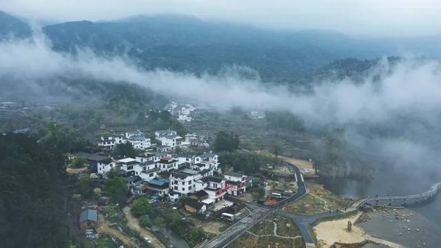 武平云寨村：“林改”赋能 穷山村成香饽饽