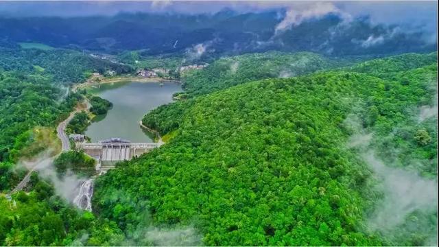 武平云寨村：“林改”赋能 穷山村成香饽饽