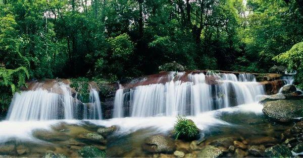 武平云寨村：“林改”赋能 穷山村成香饽饽