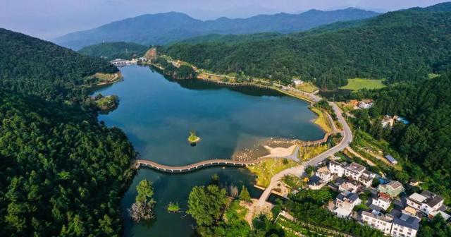 武平云寨村：“林改”赋能 穷山村成香饽饽