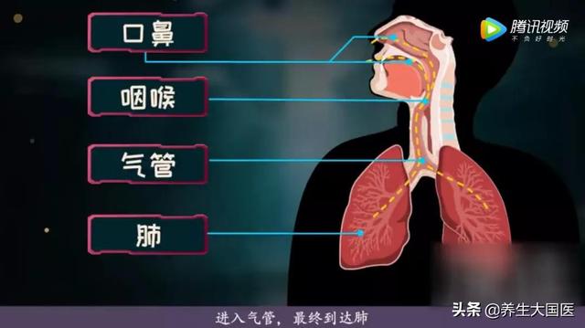 冬天老咳嗽？中医“两字”原则助你清顽痰、扶正气，气管通畅呼吸轻松