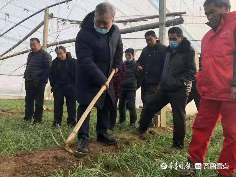 特别的过年礼，济南大学农学专家送技术到地头