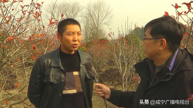 新春走基层 | 通城县华家村：从贫穷山村到美丽乡村的蝶变