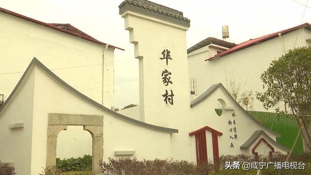 新春走基层 | 通城县华家村：从贫穷山村到美丽乡村的蝶变