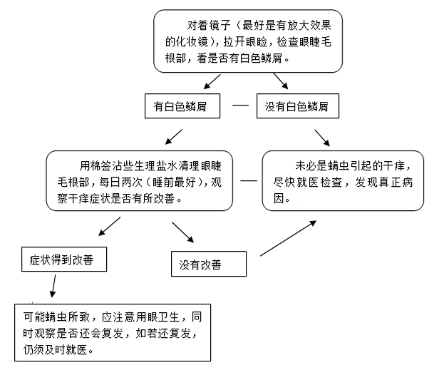 一女子眼睛干涩发痒，竟揪出23条虫！这些坏习惯你也有，严重可致盲