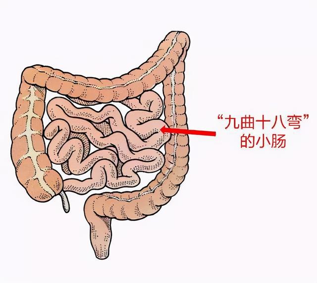 无痛精准的小肠检查！云浮市人民医院成功应用CT小肠造影检查技术