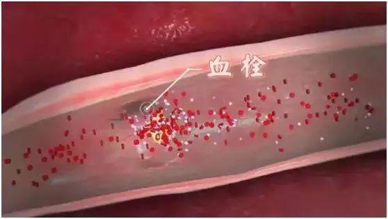 平价营养的“小人参”，三种吃法，美味又健康