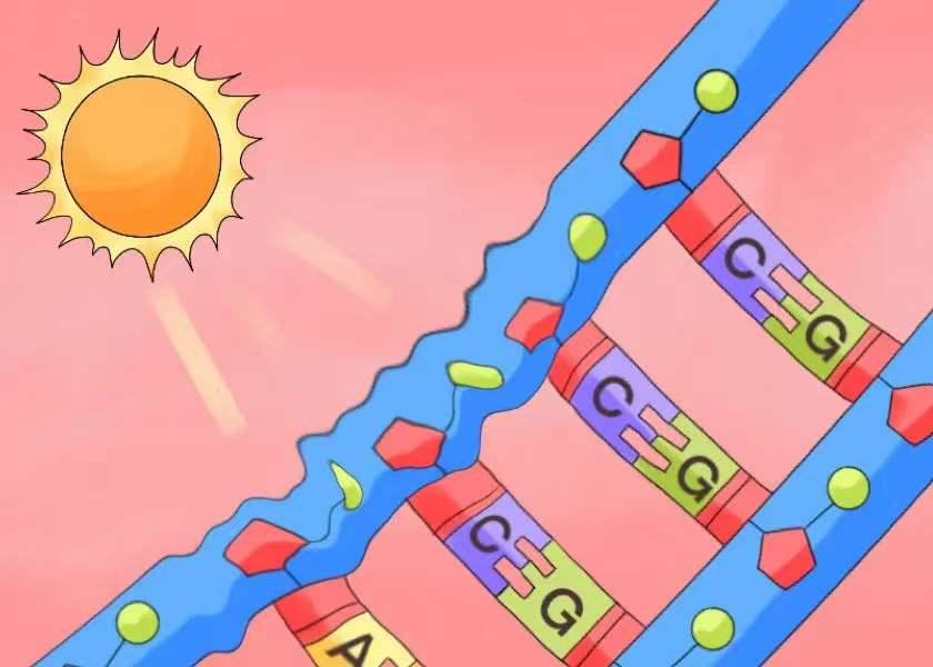 人体自救指南一个行动拯救你的DNA