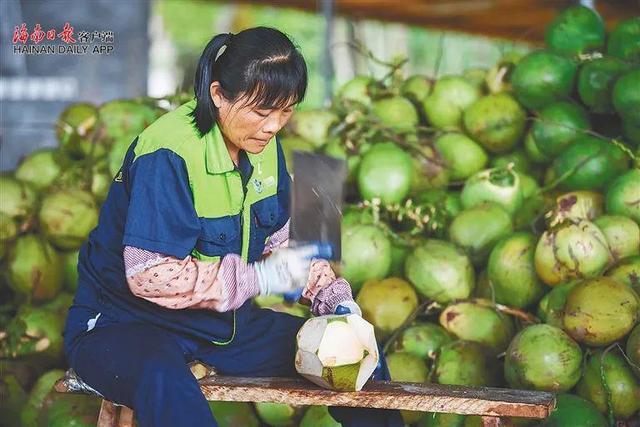 红糖年糕、酥脆京果……哪些海南年货是你心目中的C位？