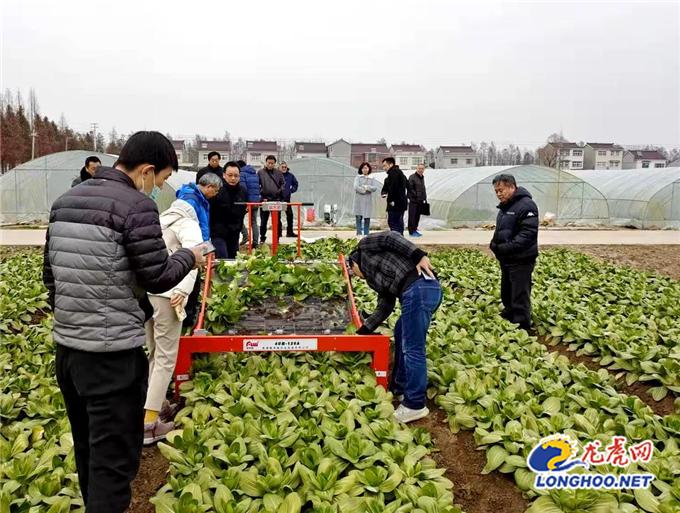 南京栖霞：加快发展农业机械化 乡村振兴成色更足