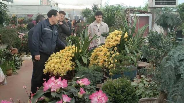 新春走基层｜增添节日氛围感“鲜花年货”受青睐