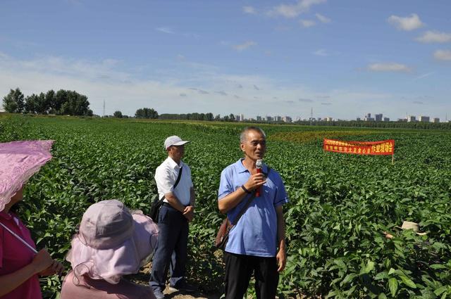 新春走基层丨农民老魏的种豆底气