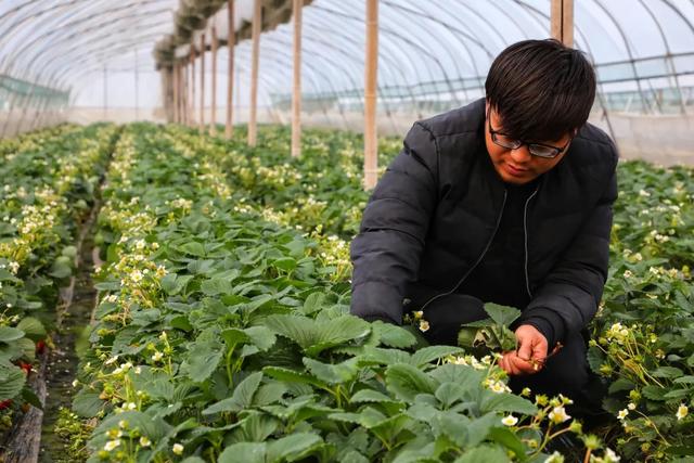 让舌尖回到春天，巧克力草莓来啦！