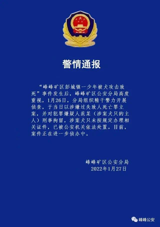 男孩被四条狗围攻致死！警方最新通报！