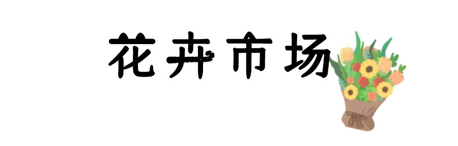 还没买年宵花？菏泽年宵花攻略已到达！