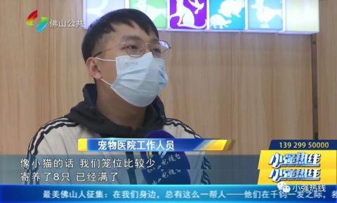 “一笼难求”！佛山出现宠物寄养热，你家的“铁蛋”安顿好了吗？