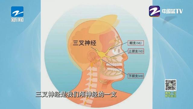 这种病痛起来生不如死！还有可能导致抑郁，我们该如何预防？