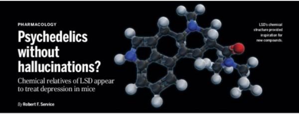 《科学》重磅：改善抑郁症一天起效？“致幻蘑菇”有望变身抗抑郁速效药