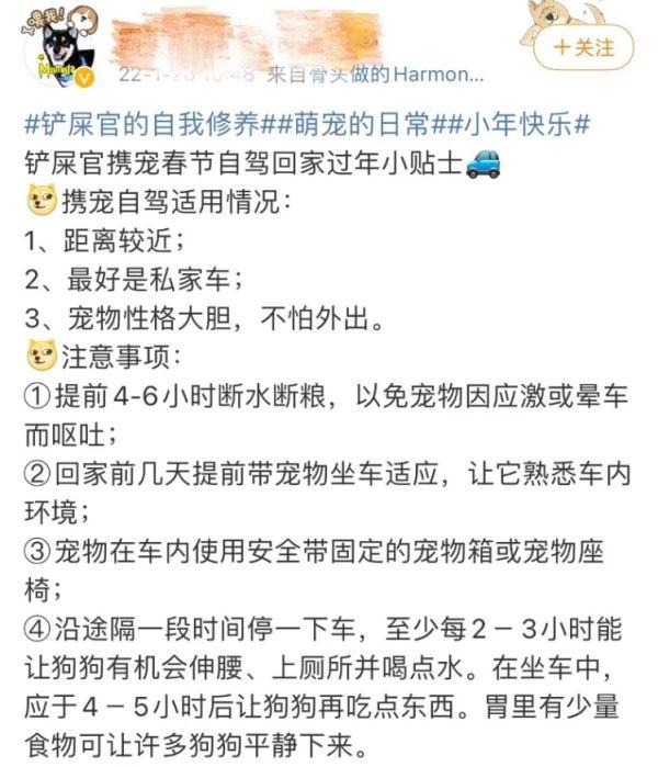 高价寄养还是上门喂养？“养宠星人”面对回家过年招数频出