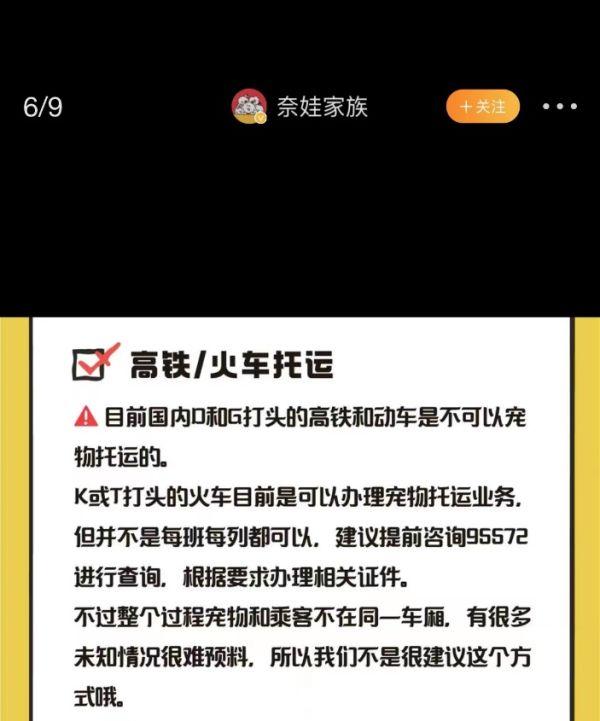 高价寄养还是上门喂养？“养宠星人”面对回家过年招数频出