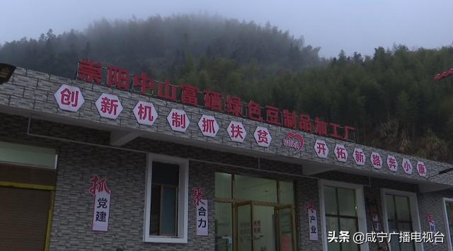 「新春走基层」记者探访乡村振兴崇阳“样本村”：一块豆腐的困境与突破