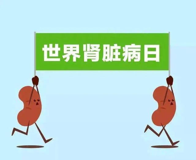 疾控话健康|慢性肾病——“沉默的健康杀手”