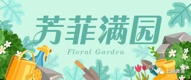 芳菲满园丨红红火火年宵花，开开心心过大年