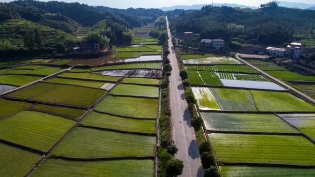 “四好农村路”全国示范县、建设市域突出单位名单公布，福建这些地方上榜