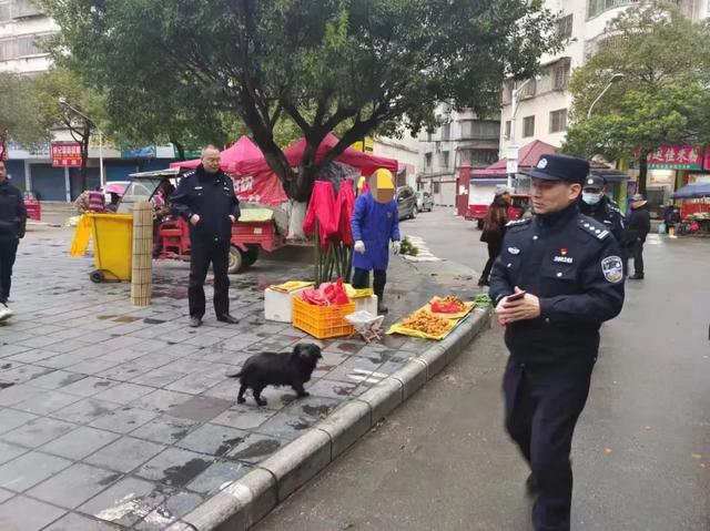 养犬的桂林人看过来，已有人被罚