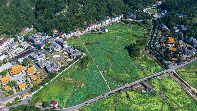 湖南南岳：标准化+旅游 助力乡村振兴大步向前