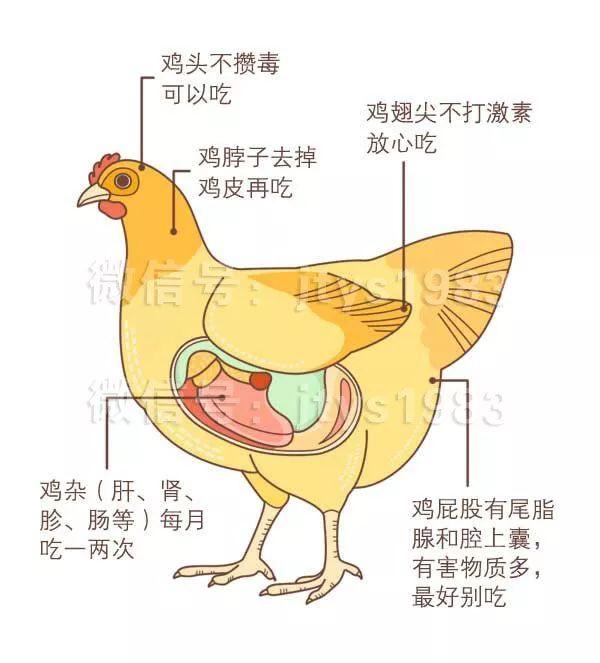 鸡、鱼、虾这些部位千万别吃，毒素和寄生虫超多！你再喜欢也要戒口