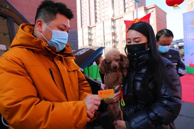 我帮你?文明创建在行动 | 呼和浩特市文明养犬月现场观摩会走进赛罕区