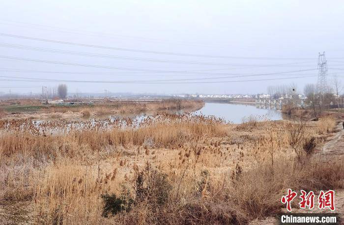 滨海黄河故道乡村见闻：留住乡愁年味浓 幸福生活在田园