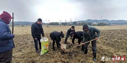 「江西是个好地方——智慧鹰潭」国家级奖，省级奖，捷报频传 走笔余江乡村公路