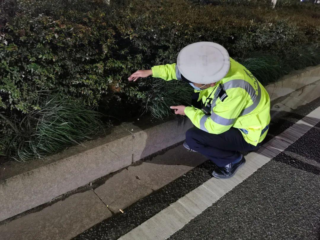 流浪狗“赖”上执勤交警，暖心交警带回收养