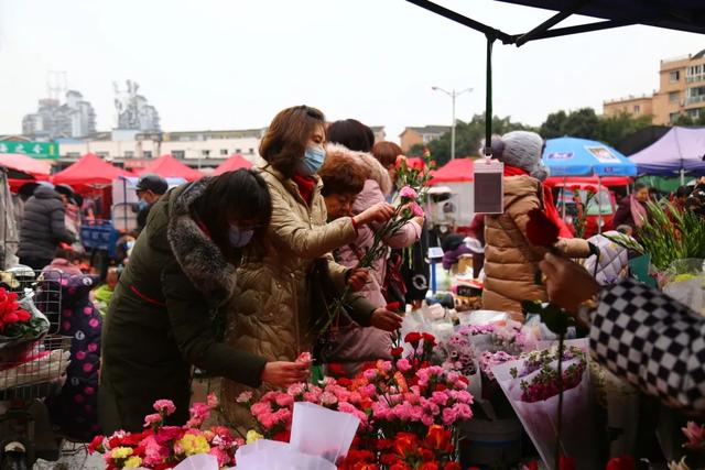 花美人甜就等过年