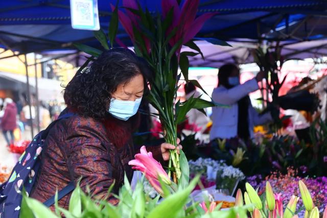 花美人甜就等过年