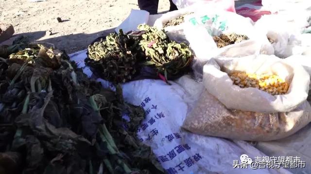 跟记者一起镇里赶大集，感受浓浓年味儿