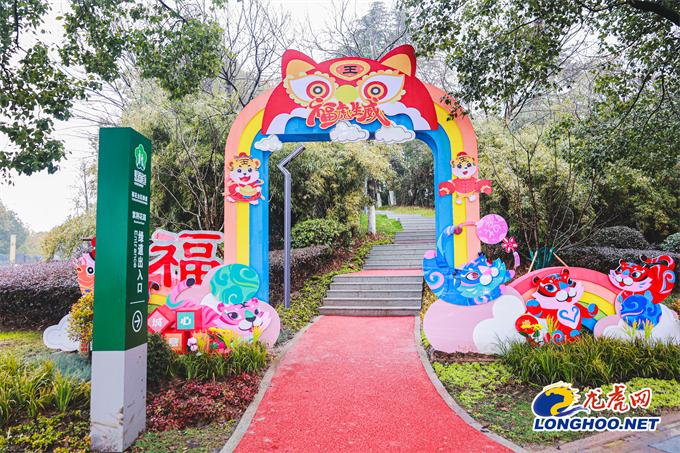 花卉“上新”扮“靓”大街小巷 雨花台区打造主题园林景观迎新春