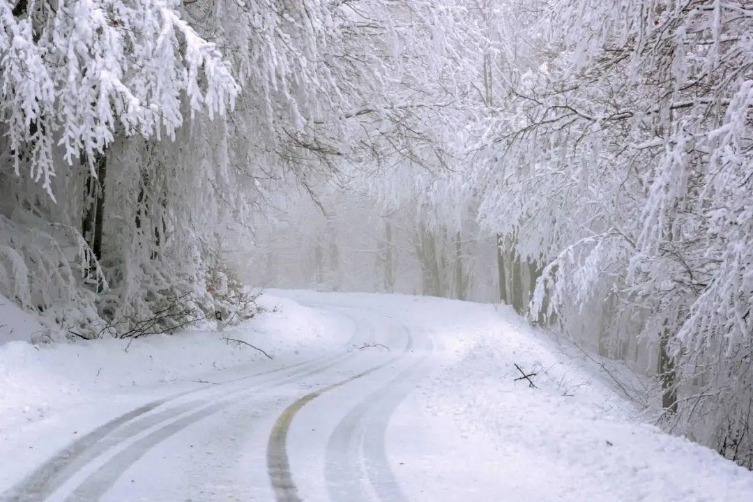 下雪啦！低温天冻伤了怎么办？