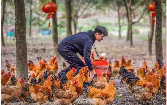 “味蕾上的暴力精雕”广东四大古镇之廉江安铺“揾食”攻略