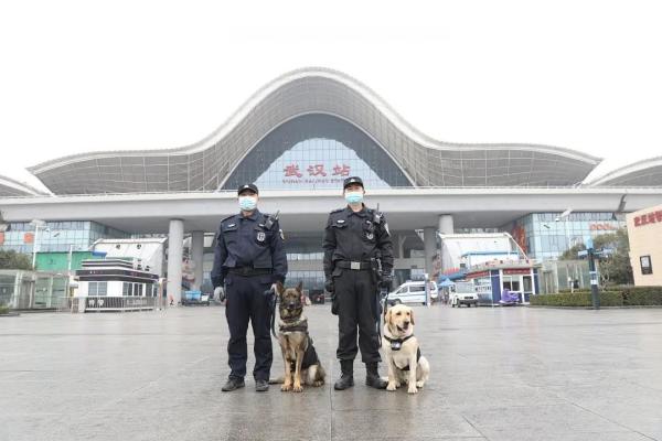 从业务“小白”到致胜“尖兵”，看警犬皮特的首个春运！