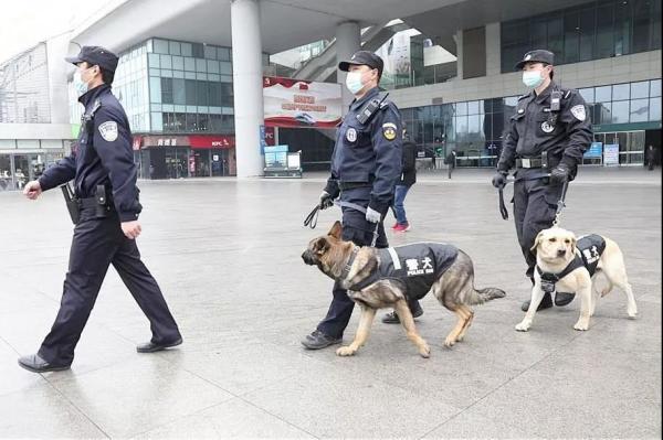 从业务“小白”到致胜“尖兵”，看警犬皮特的首个春运！