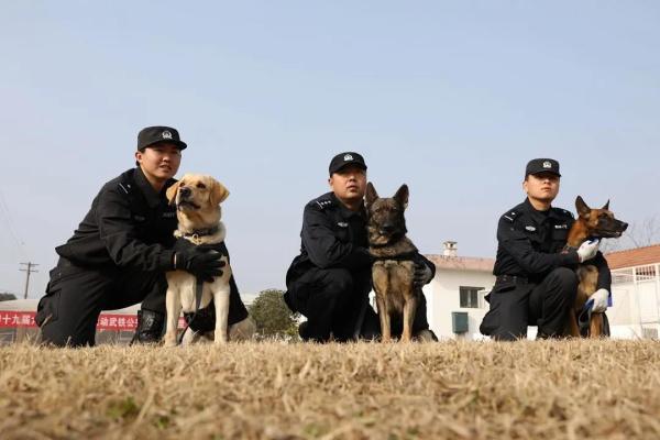 从业务“小白”到致胜“尖兵”，看警犬皮特的首个春运！