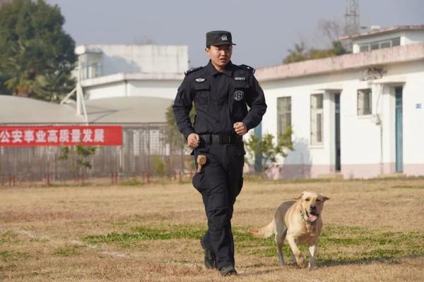 从业务“小白”到致胜“尖兵”，看警犬皮特的首个春运！